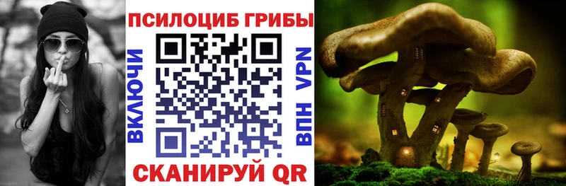 Купить закладки  Качканар  Псилоцибиновые грибы мухоморы 